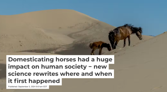 Horses supported travel, communication, agriculture and warfare across much of the ancient world. Wolfgang Kaehler/LightRocket via Getty Images